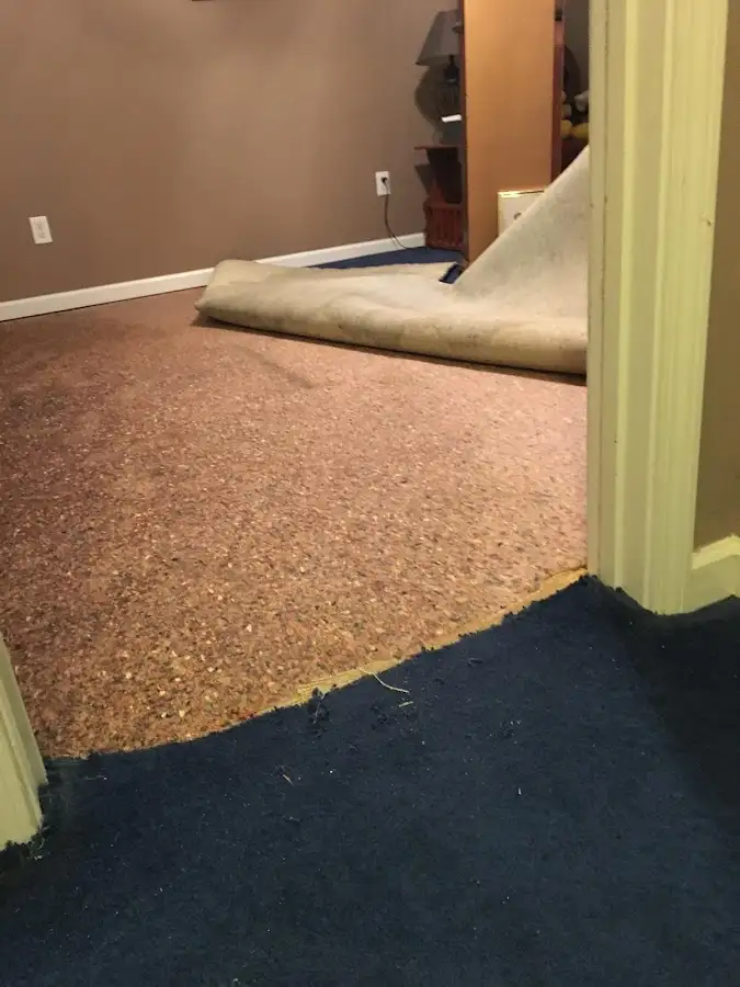 Carpet pad removal revealing water damage during Water Mitigation Services in Nutley