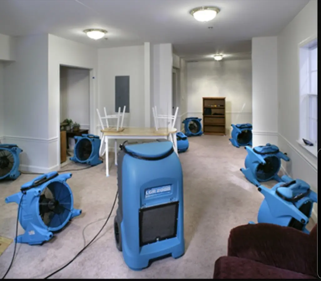 Air movers and dehumidifier setup for Water Extraction & Removal in Nutley